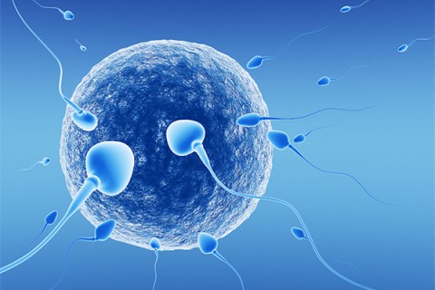http://quanzhou.quanwangkm.com/post/218.html|泉州新闻中心